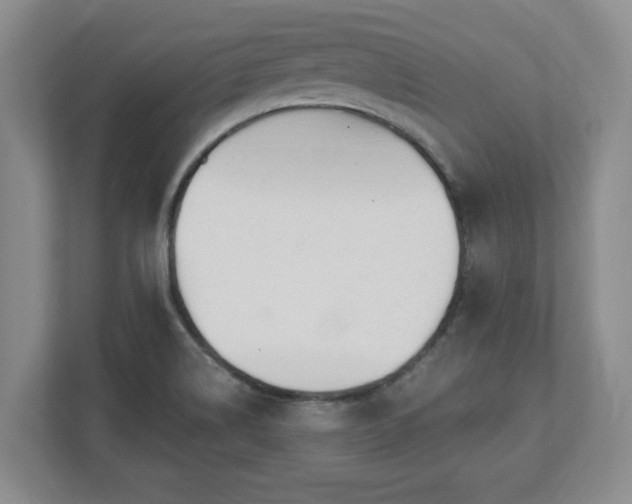 X0000112541514200908241516