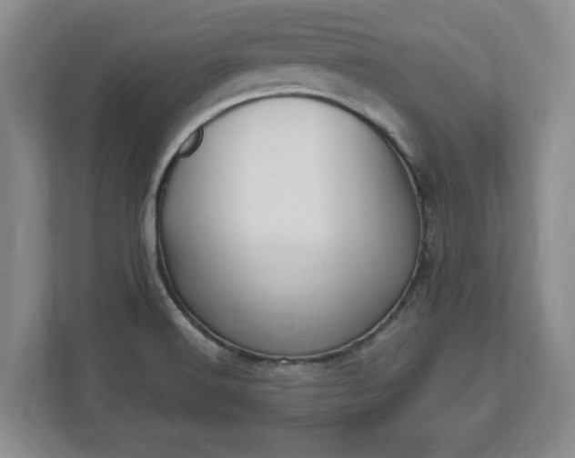 X0000112541516200908241516