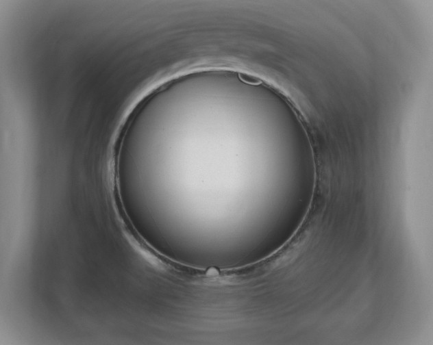 X0000112541519200908241516