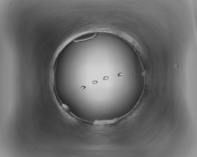 X0000112541520200908241516