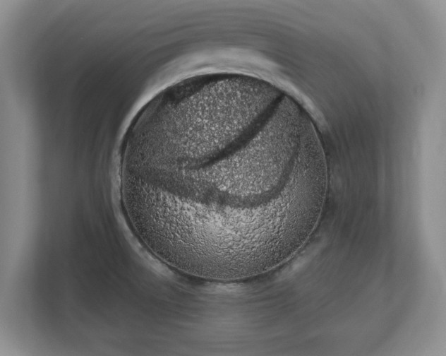 X0000112541522200908241516