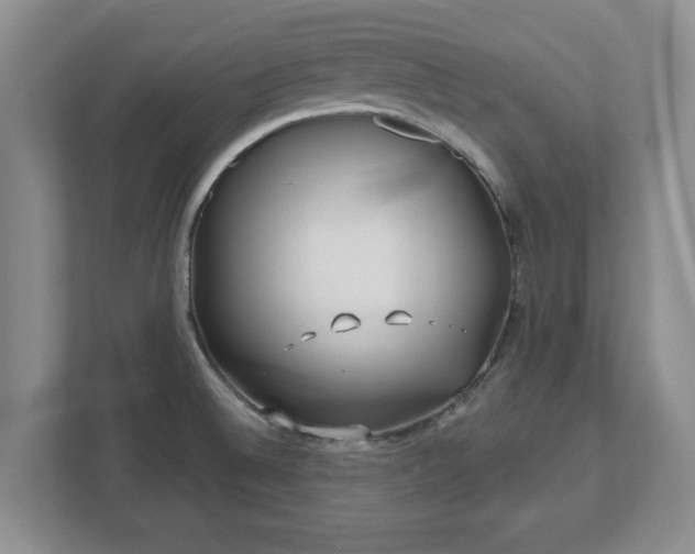 X0000112541524200908241516