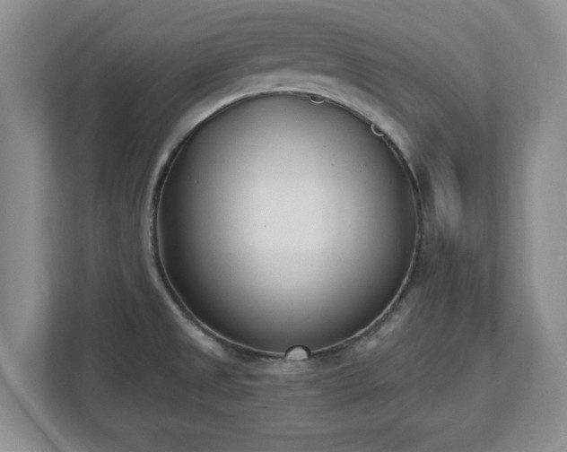 X0000112541525200908241516