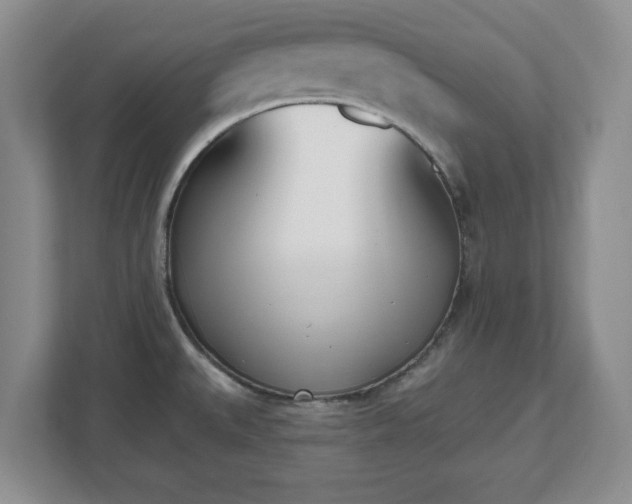 X0000112541527200908241516