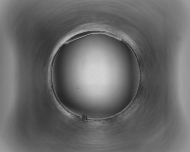 X0000112541528200908241516