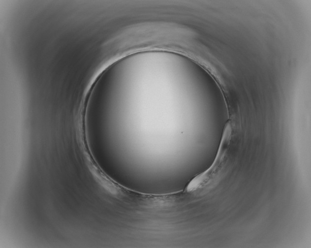 X0000112541530200908241517