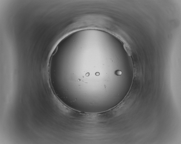 X0000112541532200908241517