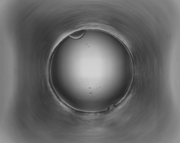 X0000112541533200908241517