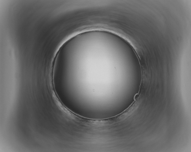 X0000112541534200908241517