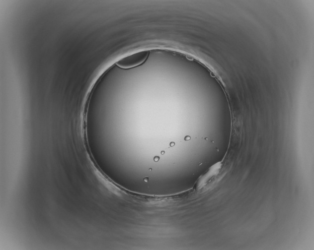 X0000112541535200908241517
