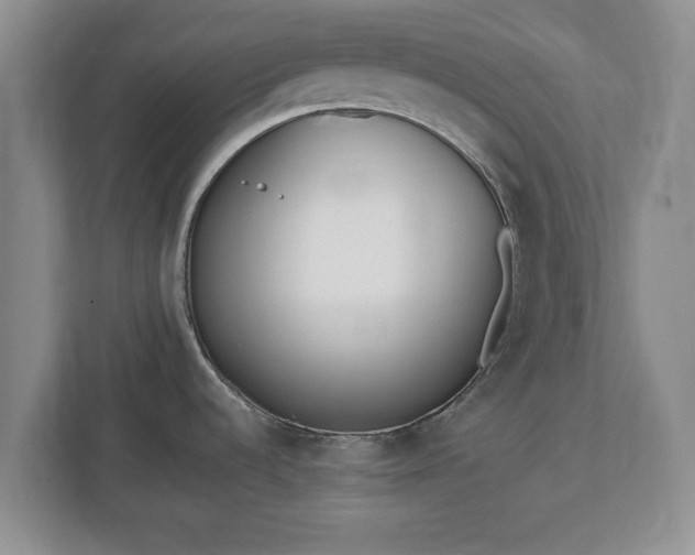 X0000112541536200908241517