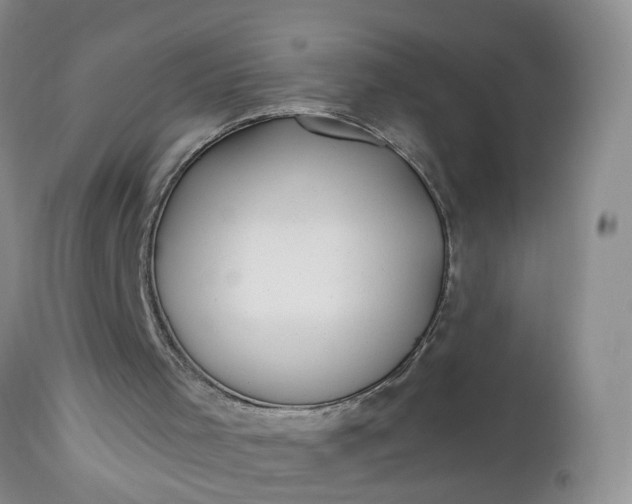 X0000112540001200908311457