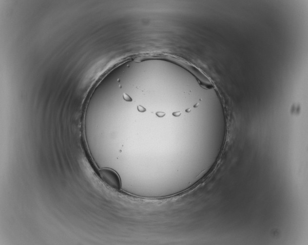 X0000112540002200908311457