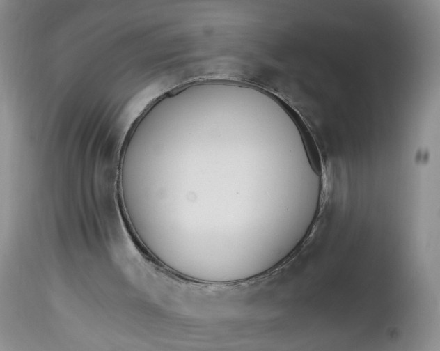 X0000112540003200908311457