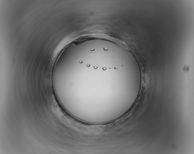 X0000112540004200908311457