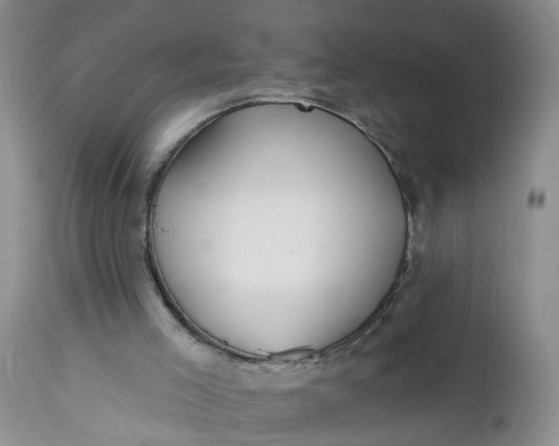 X0000112540005200908311457