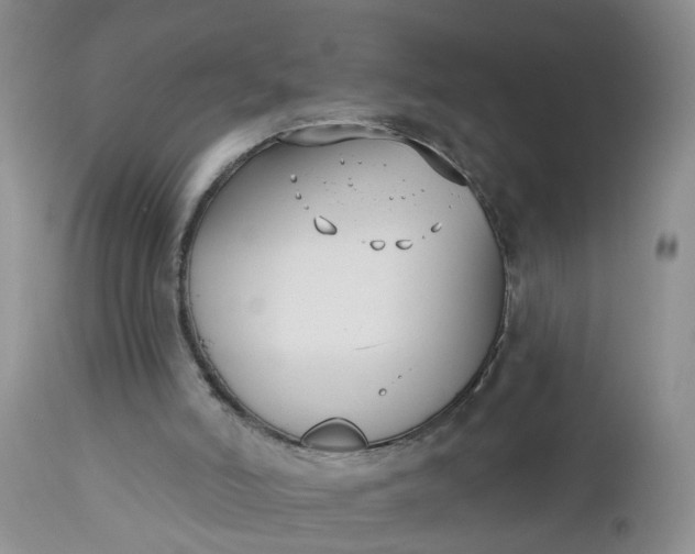 X0000112540006200908311457