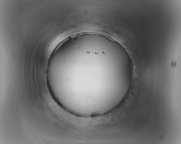 X0000112540007200908311457