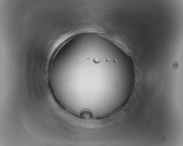 X0000112540008200908311457
