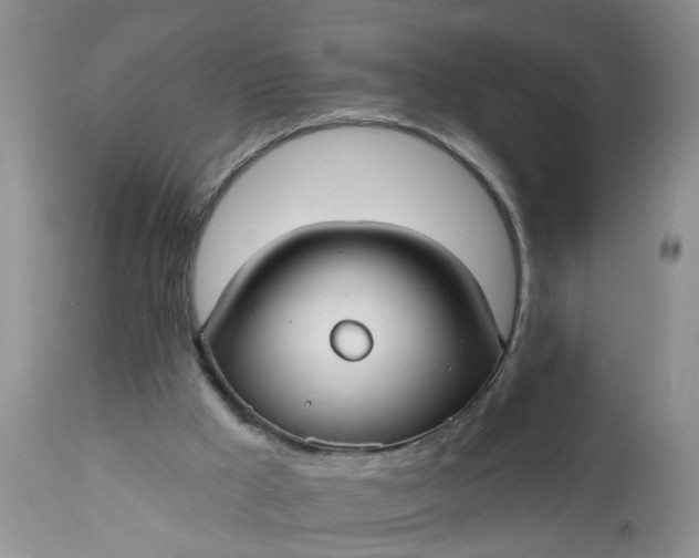 X0000112540009200908311457
