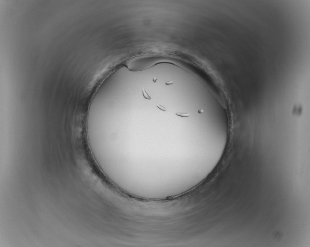 X0000112540010200908311457