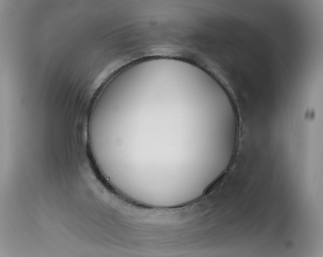 X0000112540011200908311457