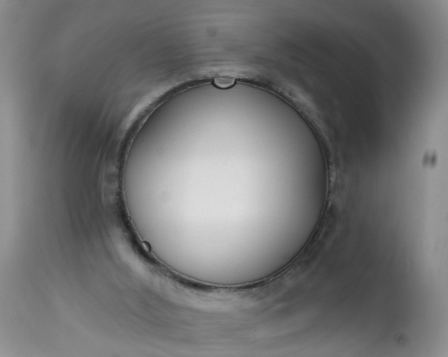 X0000112540012200908311457