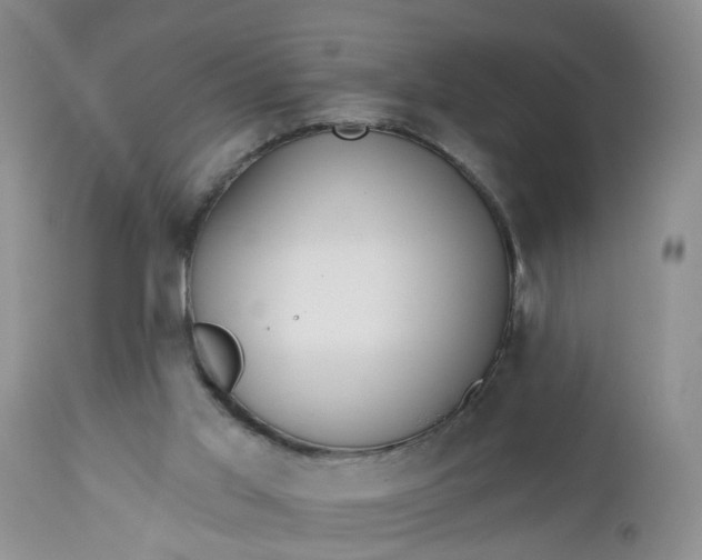 X0000112540013200908311457