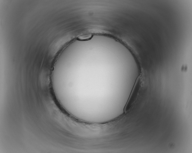 X0000112540015200908311457