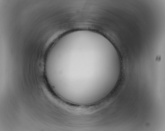 X0000112540016200908311457