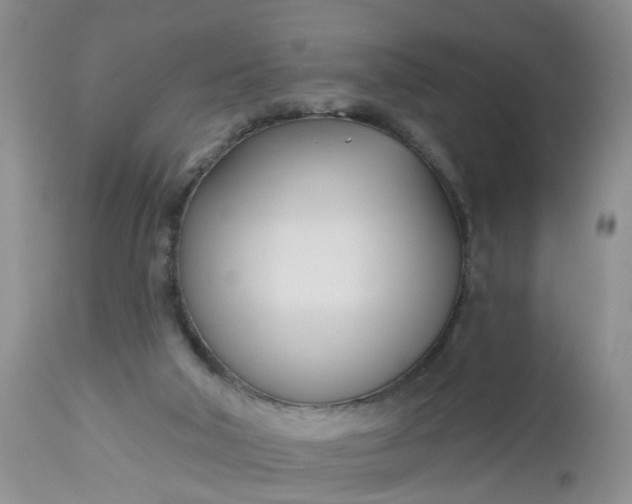 X0000112540018200908311457