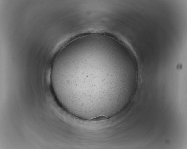 X0000112540019200908311457