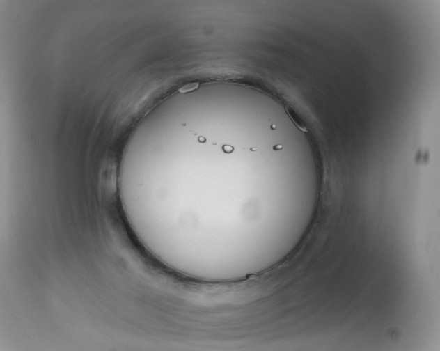 X0000112540021200908311457