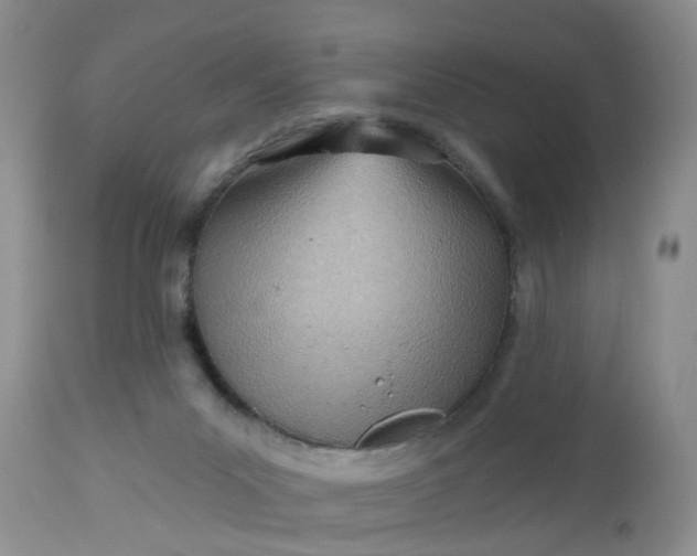 X0000112540023200908311457
