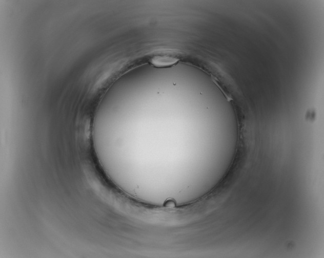 X0000112540024200908311457