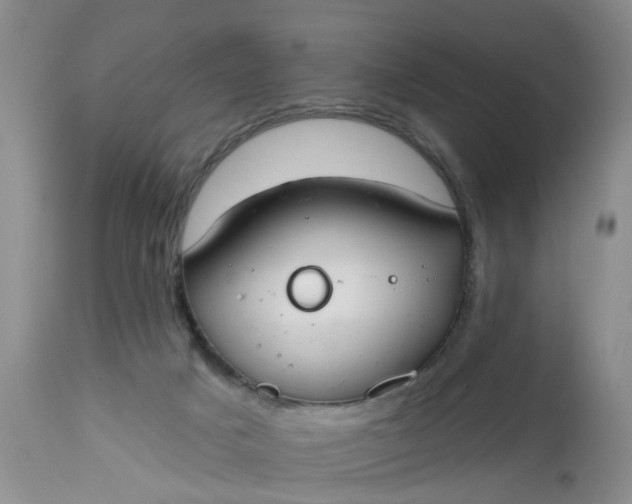 X0000112540025200908311457