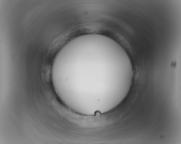 X0000112540026200908311457