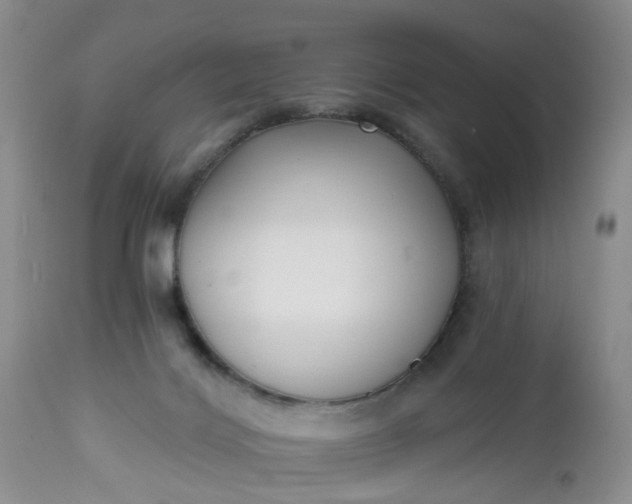 X0000112540028200908311457