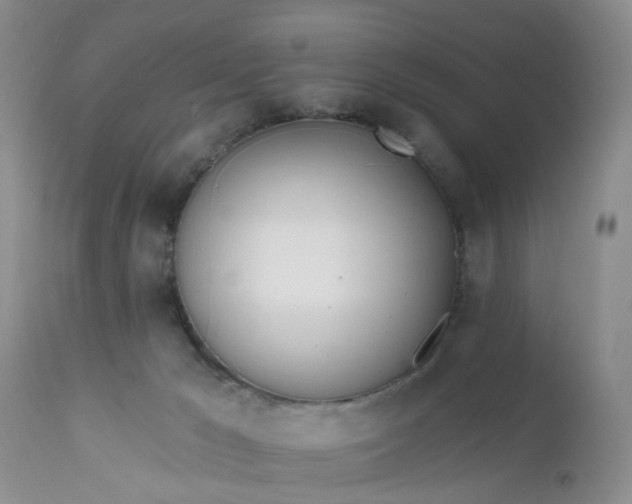 X0000112540029200908311457