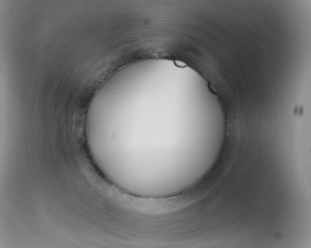 X0000112540030200908311457