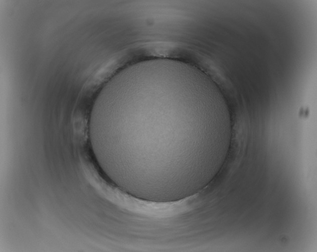 X0000112540031200908311457