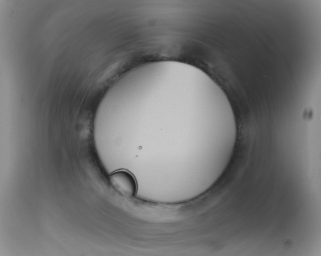 X0000112540032200908311457