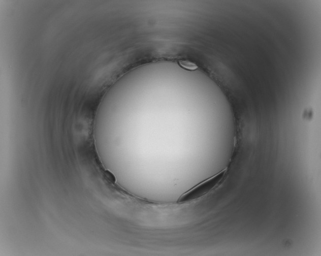 X0000112540033200908311457