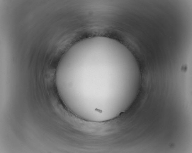X0000112540034200908311457