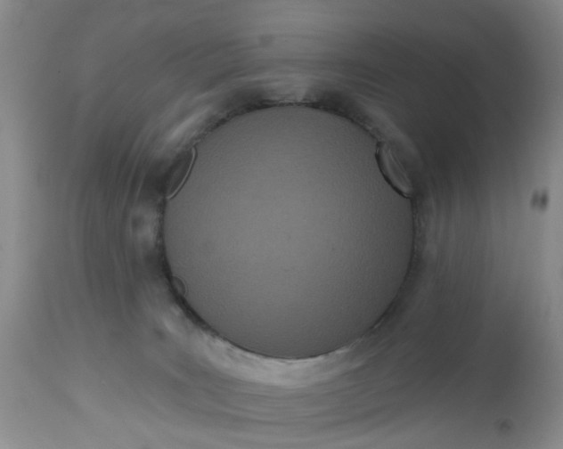 X0000112540035200908311457