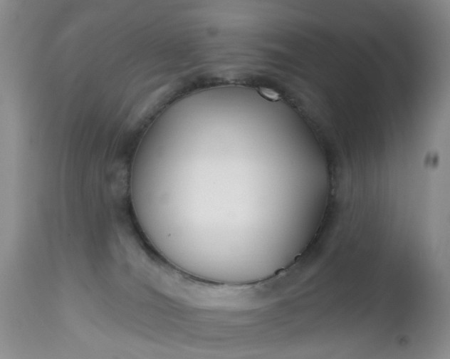 X0000112540036200908311457