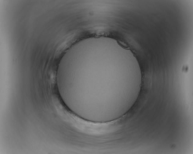 X0000112540039200908311457