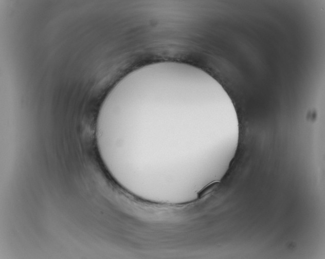 X0000112540040200908311457