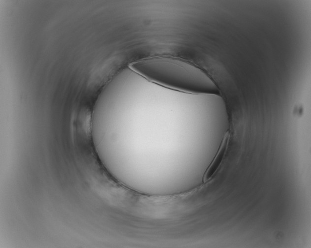 X0000112540041200908311457