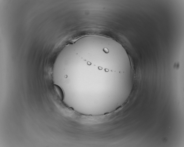 X0000112540045200908311457